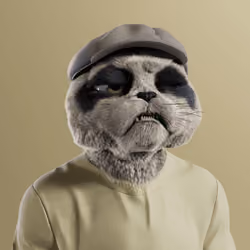 Kitty #5355
