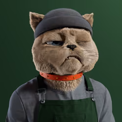 Kitty #3885