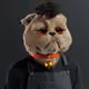 3417