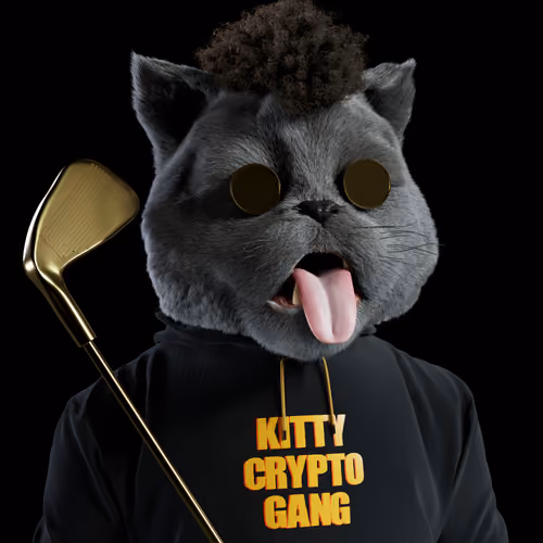 Kitty #3323