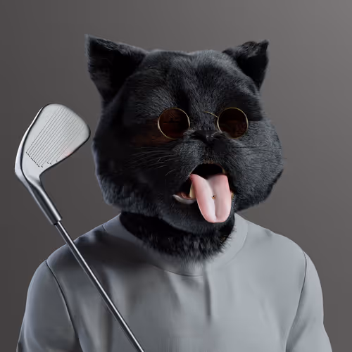 Kitty #7355