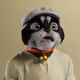 816