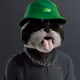 1138