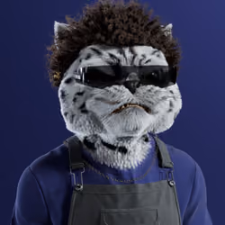Kitty #7334