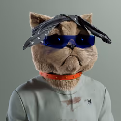 Kitty #7888