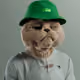 7682