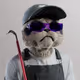 5178