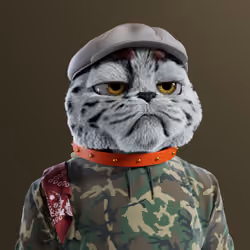 Kitty #2188