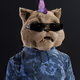 6017