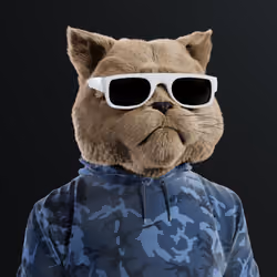 Kitty #6425