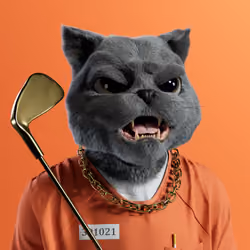 Kitty #4090