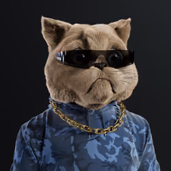 Kitty #7279