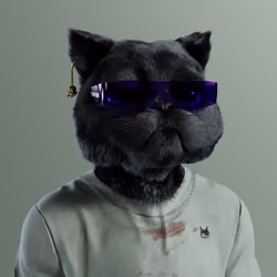 Kitty #4813