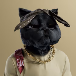 Kitty #225
