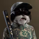 729