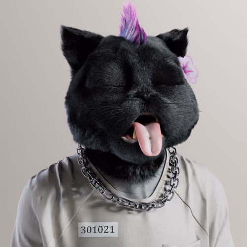 Kitty #2469