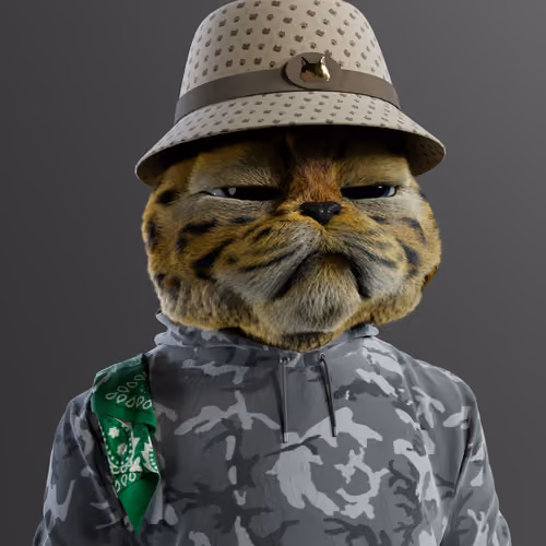 Kitty #6240