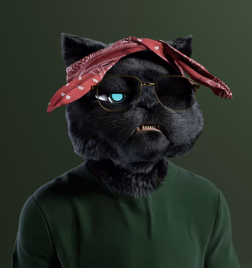 Kitty #7951