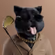 6826