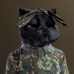 Kitty #6510