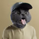 3149