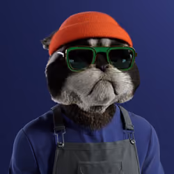 Kitty #3627