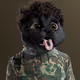 6728