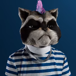 Kitty #4260