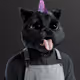 3629