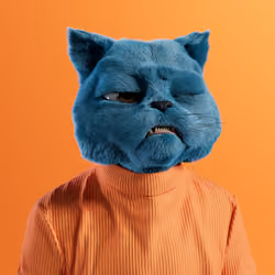 Kitty #4048