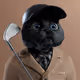 5459