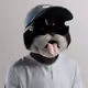 6620