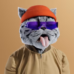 Kitty #4478