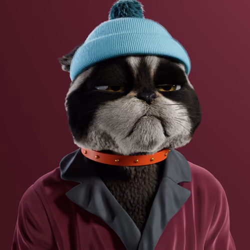 Kitty #4088