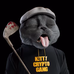Kitty #1080