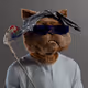 5206