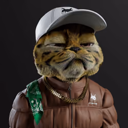 Kitty #1606