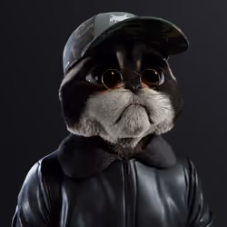 Kitty #898