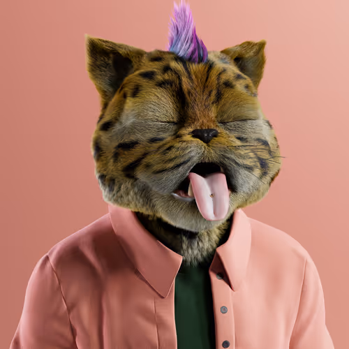 Kitty #5855
