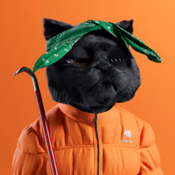 Kitty #44