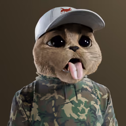 Kitty #3674