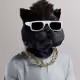 6298
