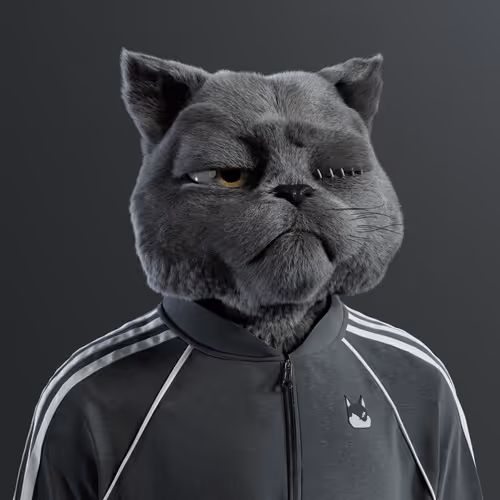 Kitty #1478