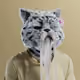 2585