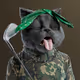 7344