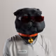 101