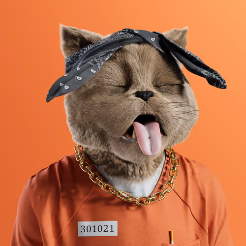 Kitty #6805