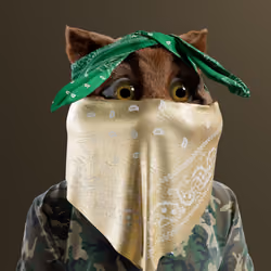 Kitty #3851