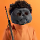 7227