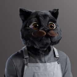 Kitty #800